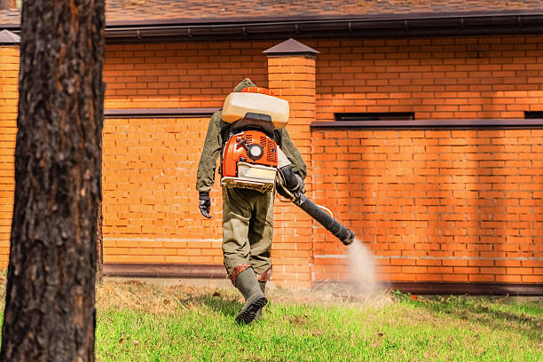 Trusted Ant Control service in Kimberling City, MO - Nex Pest Control